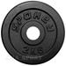 Obciążenie żeliwne 2 kg 84419 Spokey