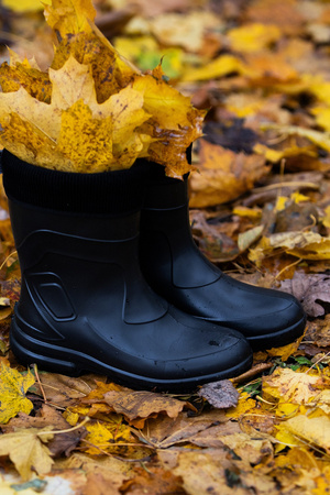 Kalosze damskie Jessy 800 HEYO