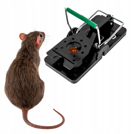 Pułapki na myszy BESTIF BPM01 6szt